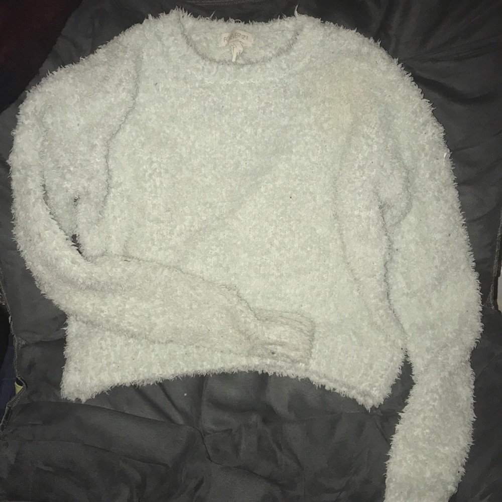 Fuzzy Cropped Sweater